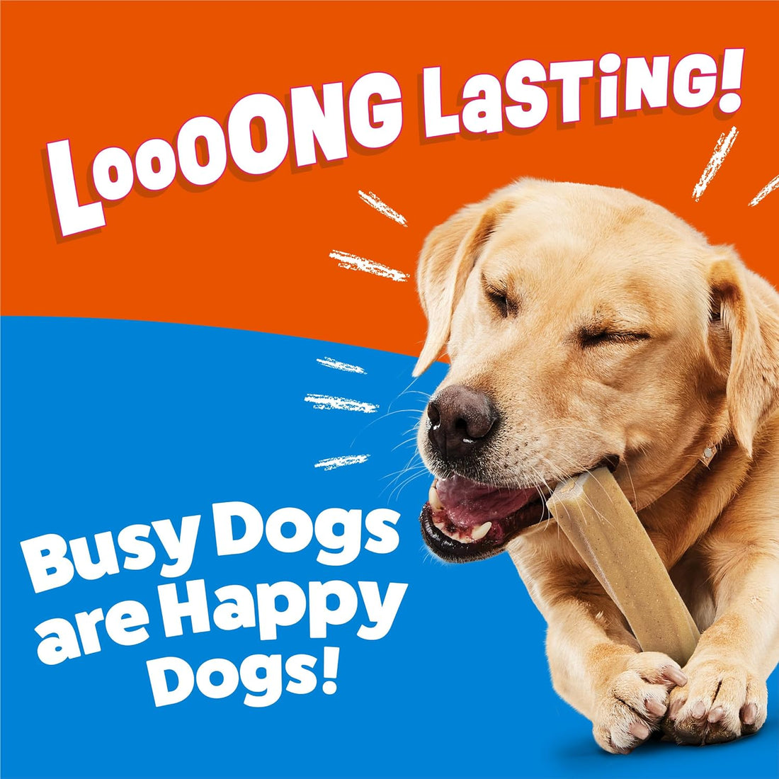 Purina Busy Bone Large Dog Chew Treats, Peanut Butter Flavor