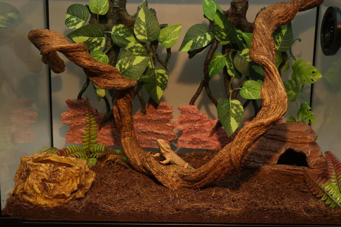 AQUA KT Reptile Twist Climber Vine Bendable Branch for Lizard Snake