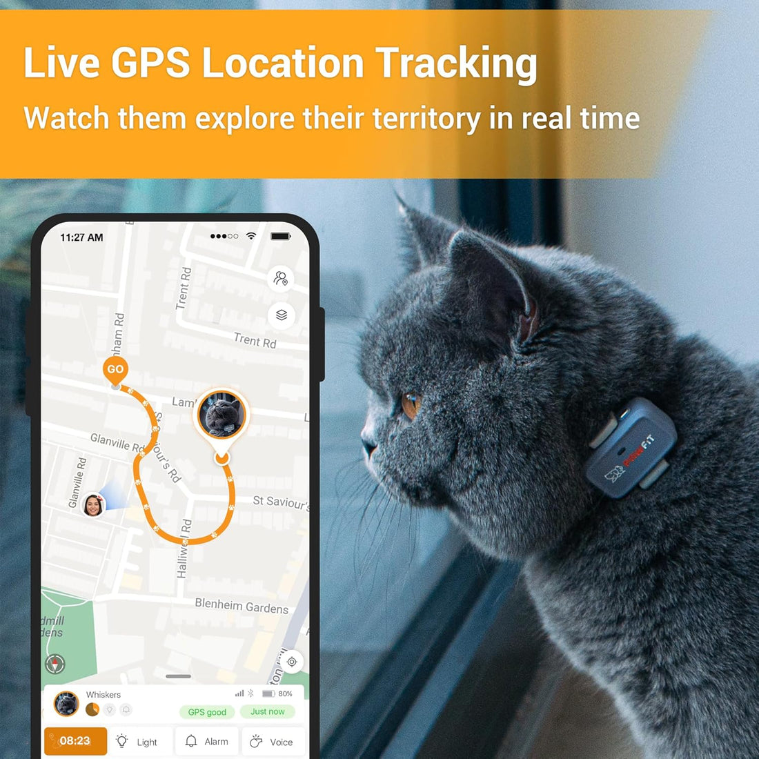 Pawfit Lite 4G GPS Cat Tracker, Live Tracking, Ultra-Light