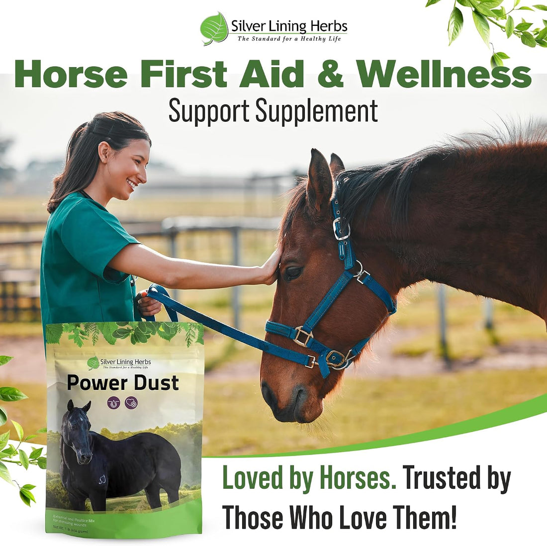 Silver Lining Herbs Power Dust Horse Wound Care Powder - 1 lb
