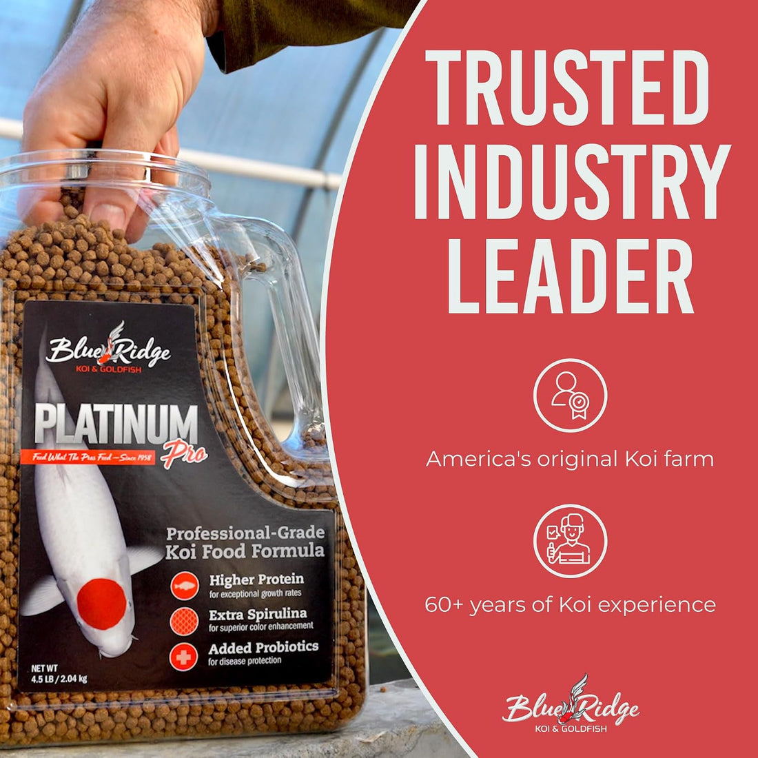 Blue Ridge Koi Platinum Pro 41% Protein Fish Food, 3/16" Pellets