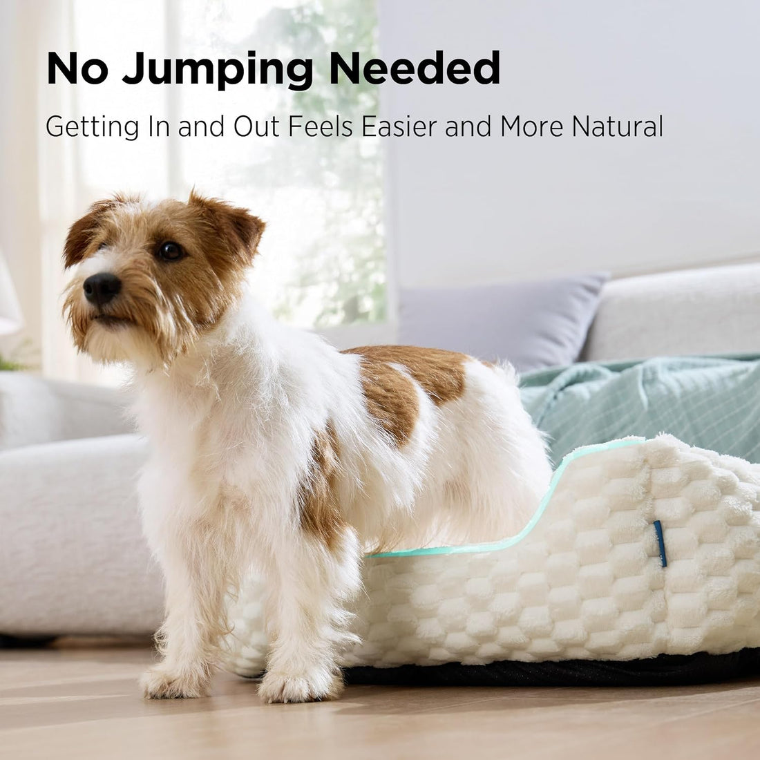 Bedsure Washable Fluffy Cute Dog Beds for Small & Medium Dogs, 25in