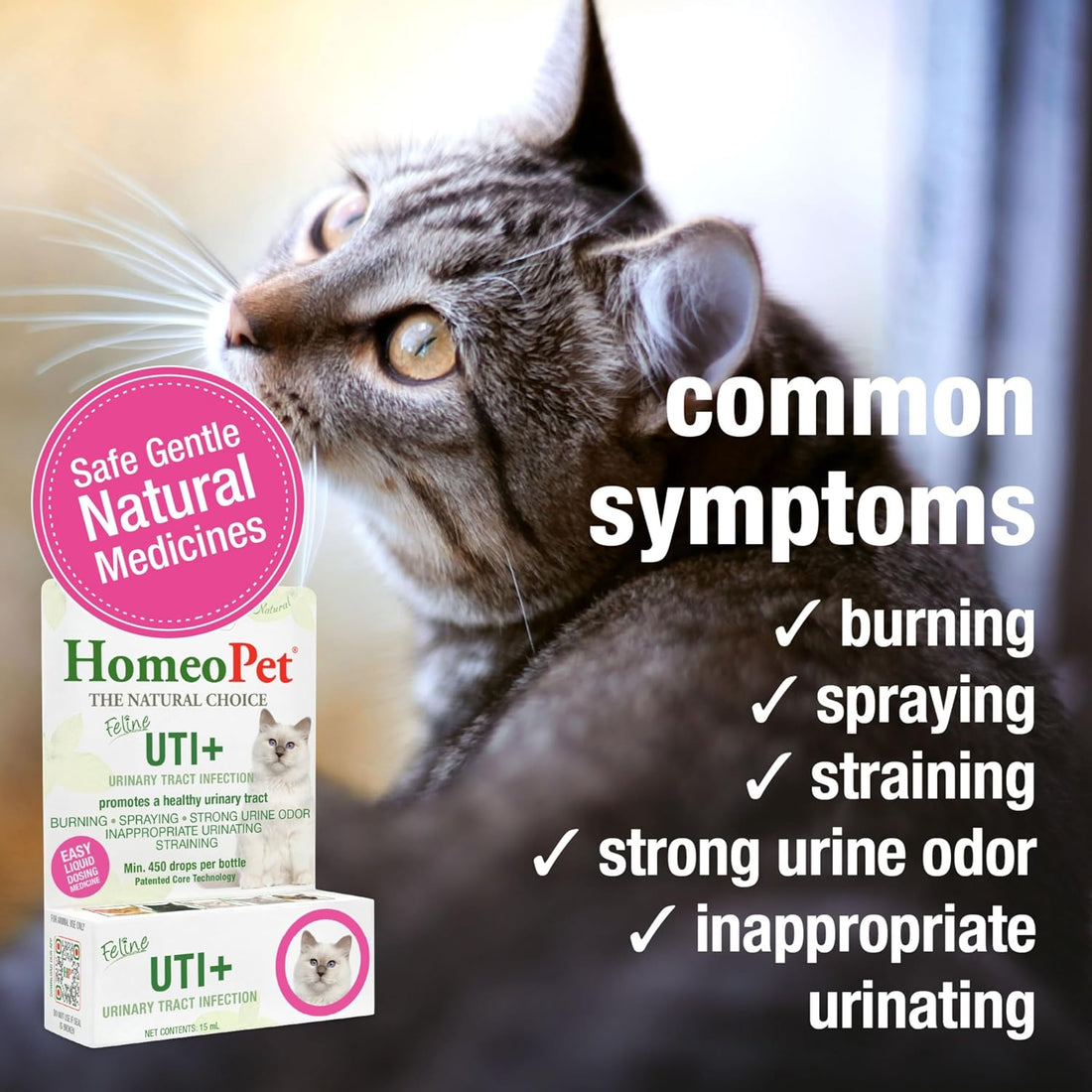 HomeoPet Feline UTI+, Safe and Natural Urinary Tract Supplement