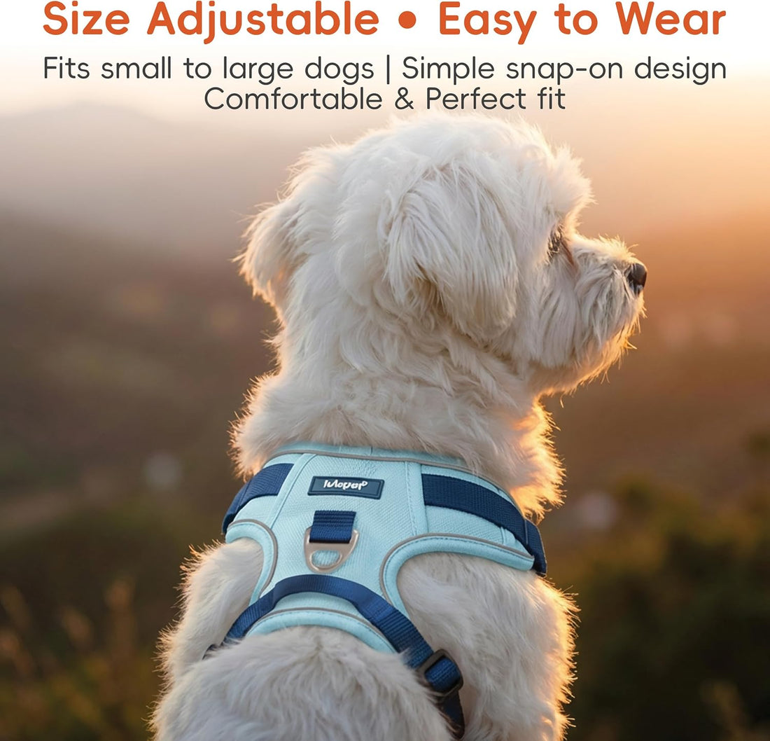 Dog Harness and Leash Set with Collar