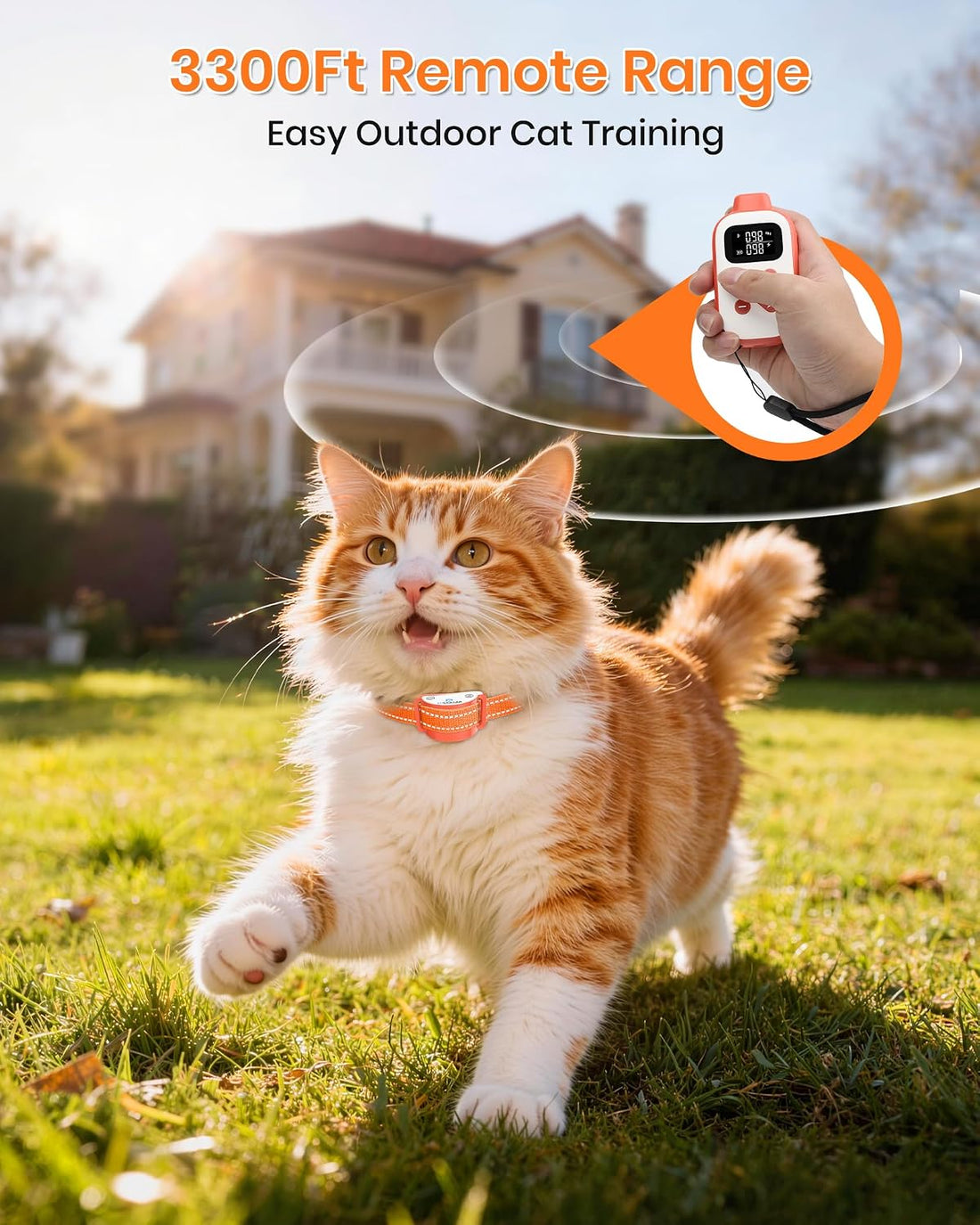 Lightweight Cat Shock Collar with Remote