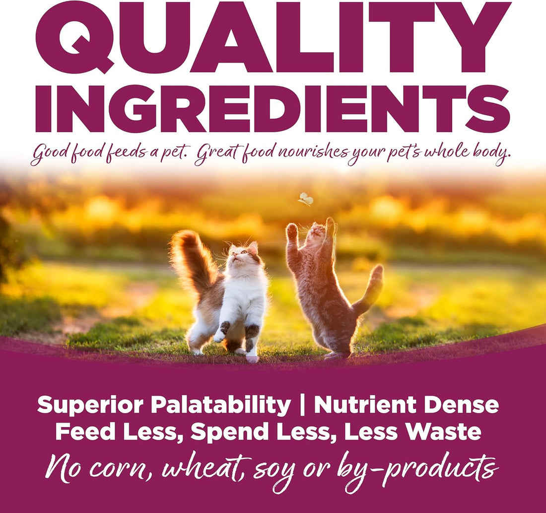 NutriSource Cat & Kitten Dry Food