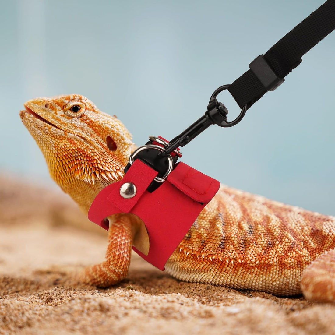 ADOGGYGO Bearded Dragon Harness Leash Set, 3 Size Lizard Harness