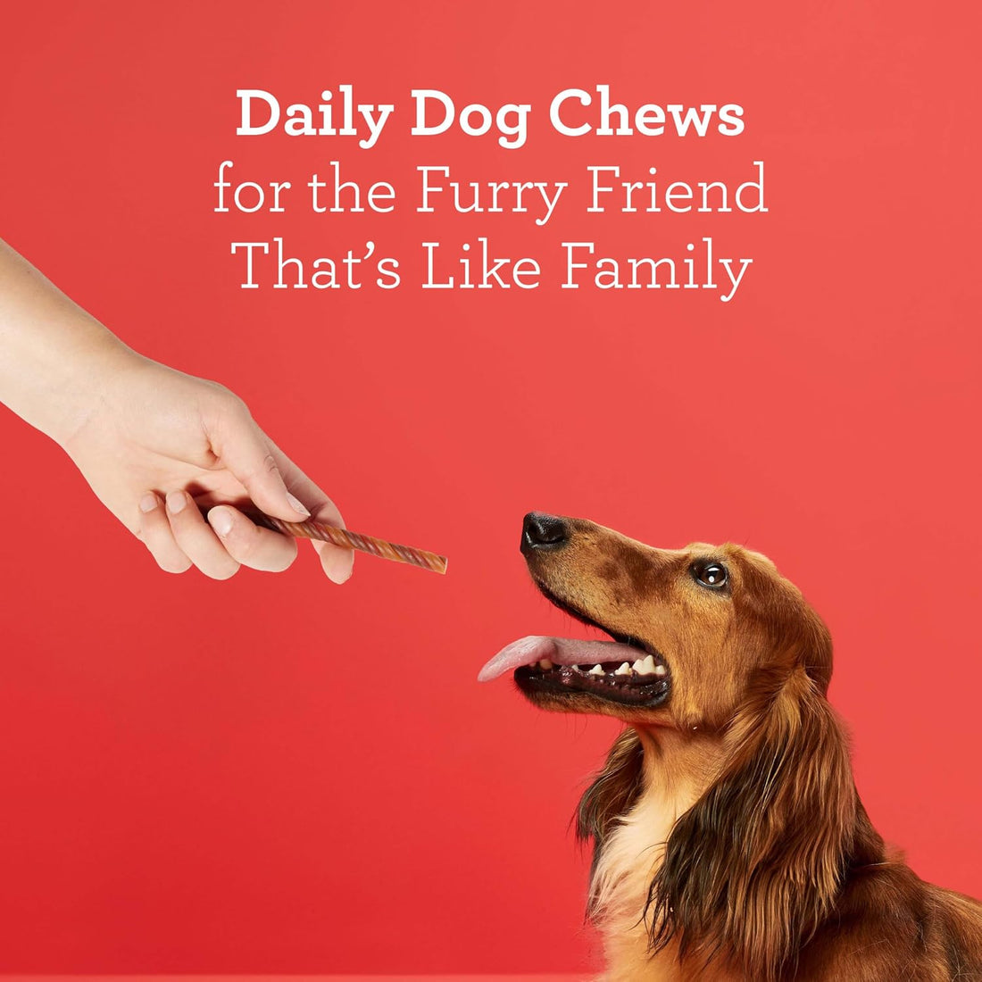 DreamBone Triple Flavor Rawhide-Free Dog Chews