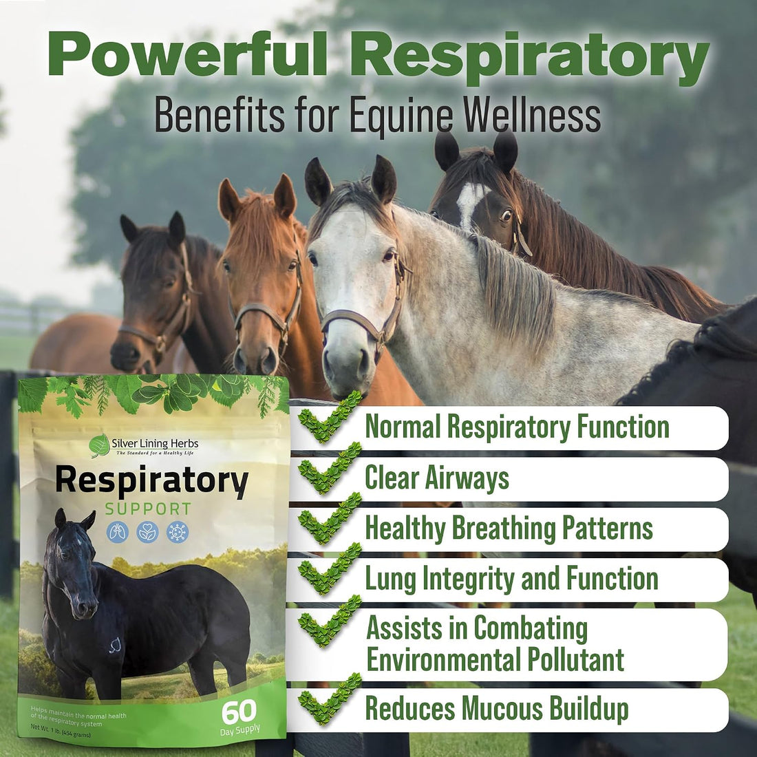 Silver Lining Herbs Respiratory Lung Support for Horses - 1 lb