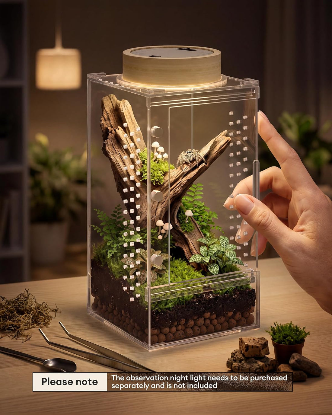 Jumping Spider Enclosure,Magnetic Doors All-Side Ventilation