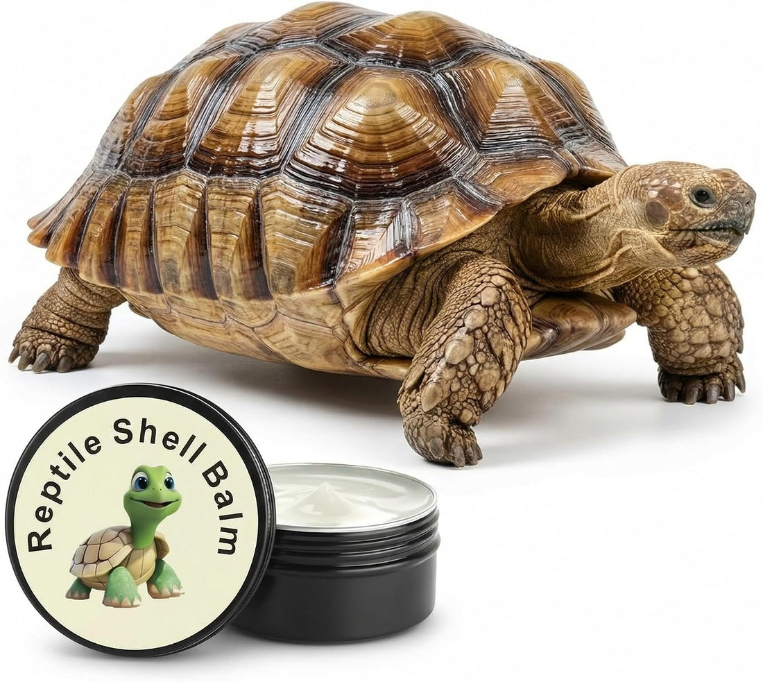 Tortoise Oinment Shell Conditioner Cream