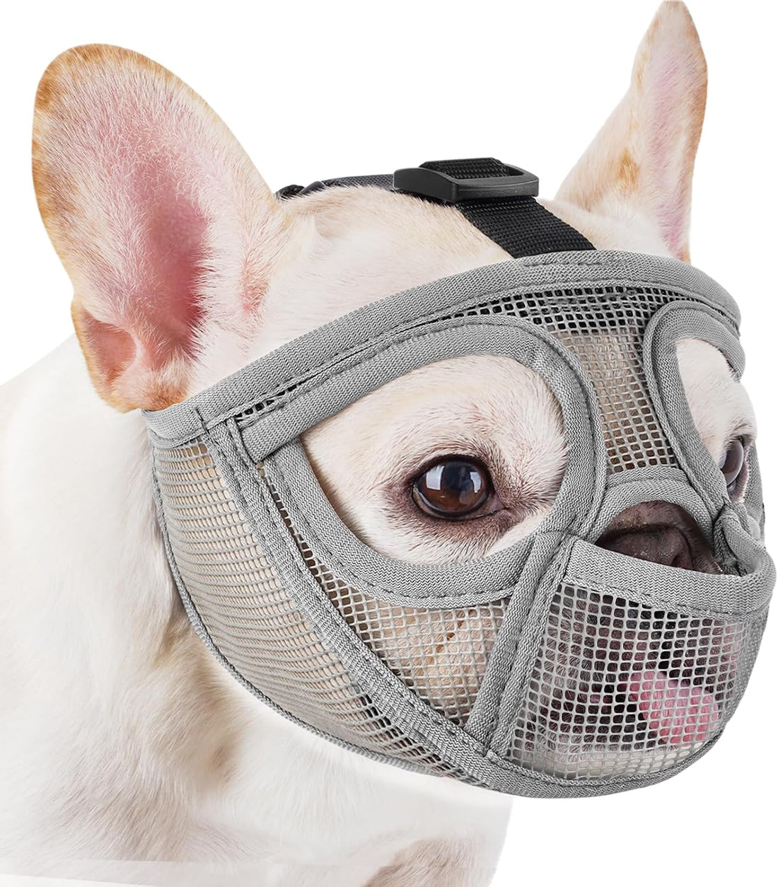 Mayerzon English Bulldog Muzzle