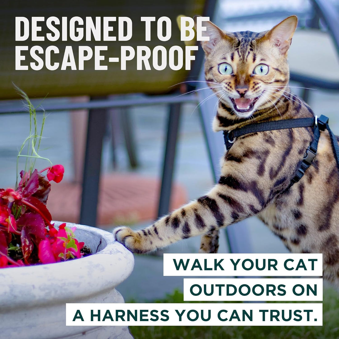 OutdoorBengal Houdini™ Escape Proof Cat Harness and Leash
