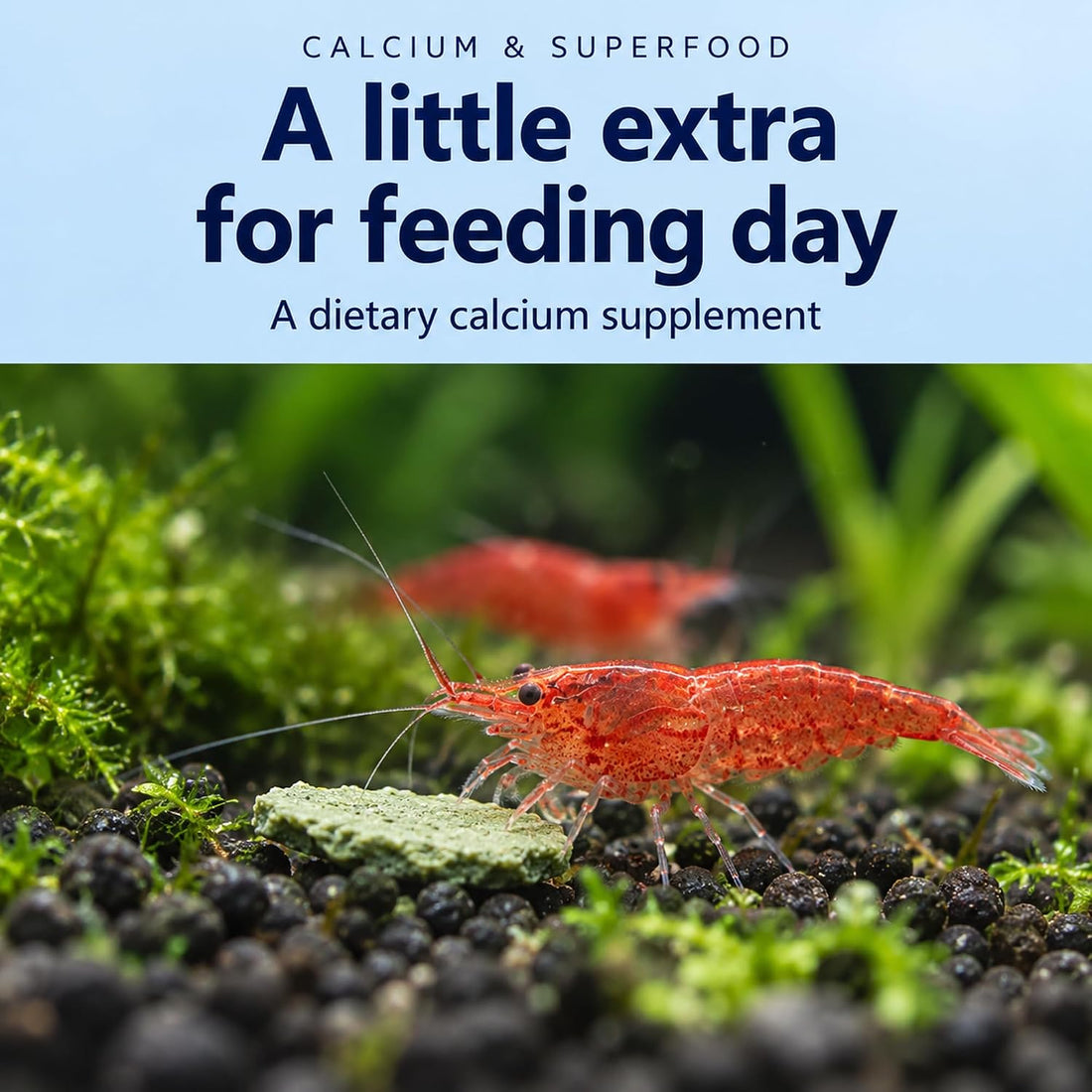 Shrimp Bites Calcium & Superfood Formula