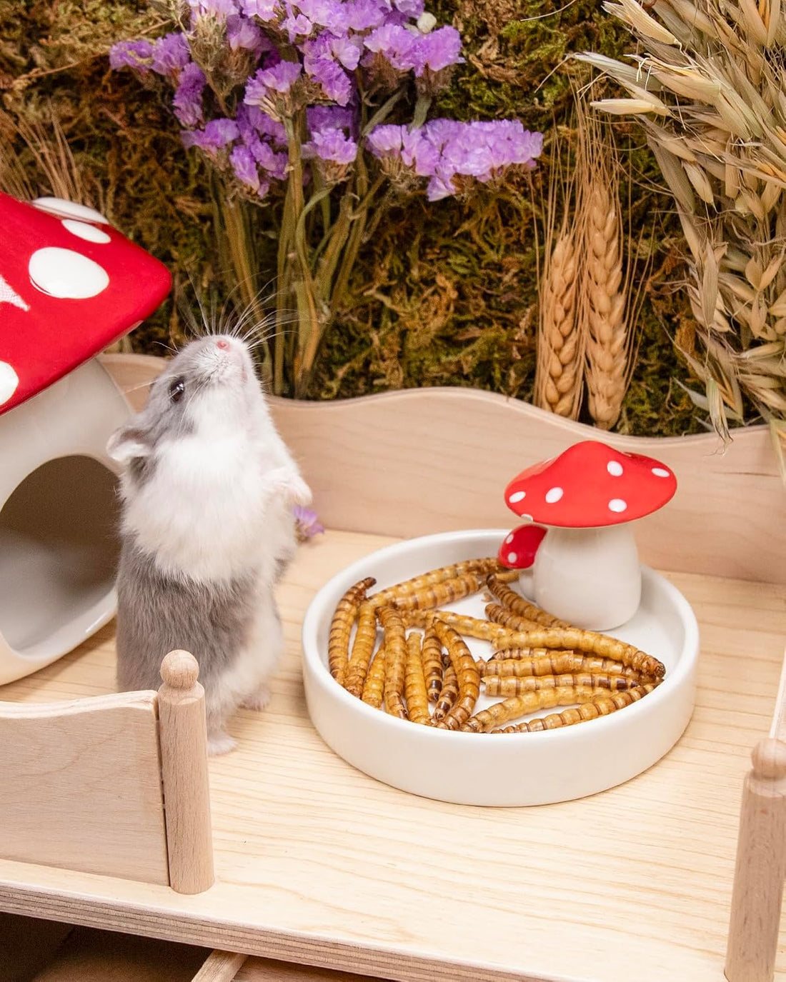 Niteangel Small Animal Snack & Treats - Dried Worms & No Additive