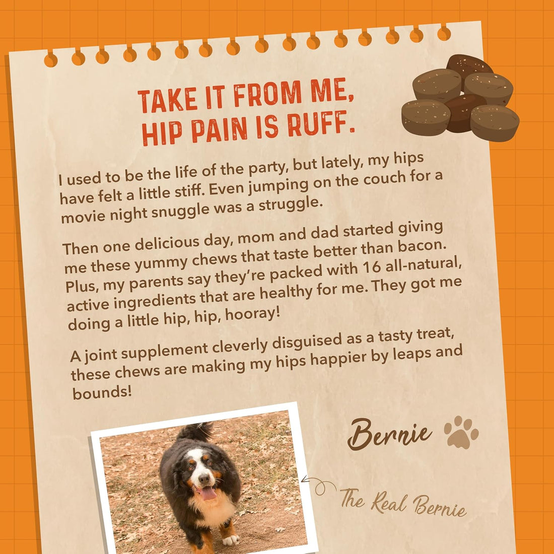 Bernie's Healthy Hips, Hip and Joint Supplement for Dogs