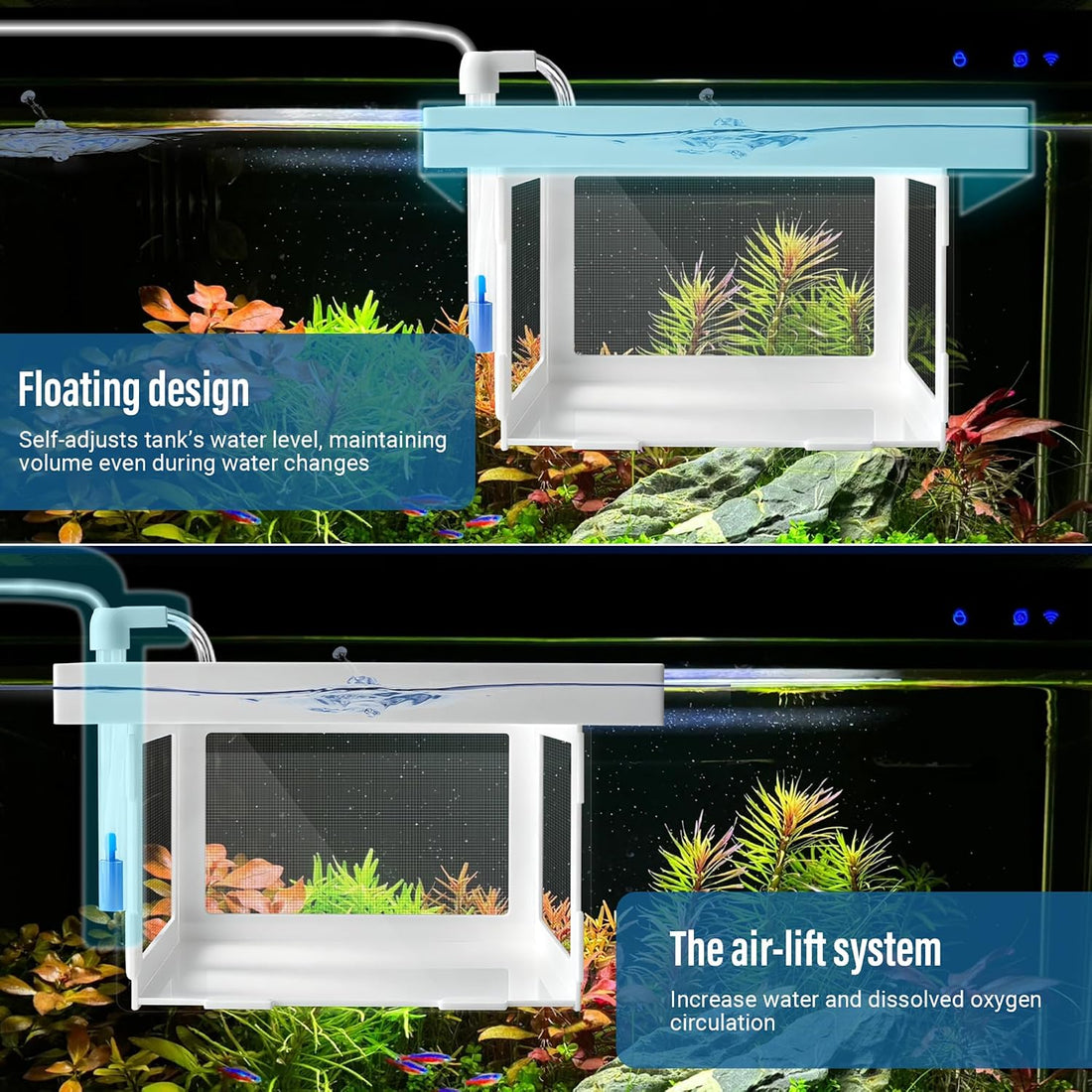 Floating Aquarium Breeder Box, Fish Acclimation & Isolation Tank