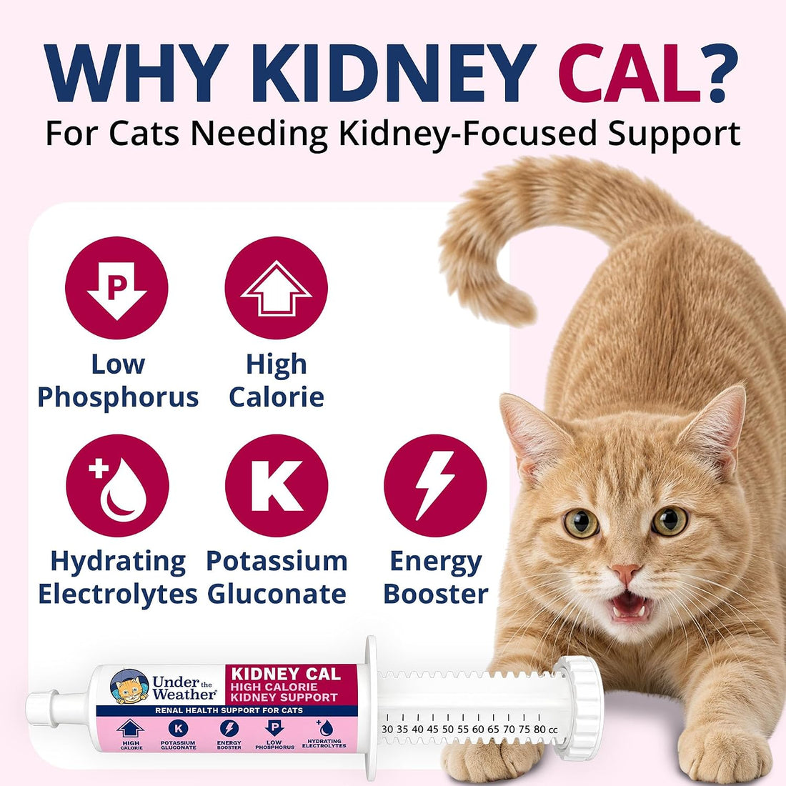 Under the Weather Pet Electrolytes Ready Cal Plus Gel for Cats