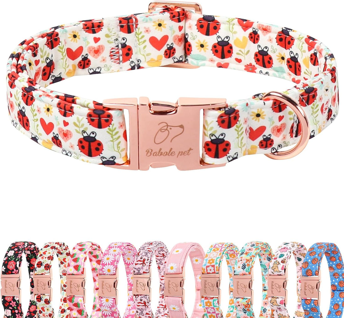 Halloween Dog Collar, Purple Pumpkin Bat Print Puppy Collar