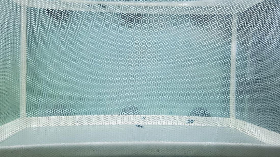 Large Breeder Net for Fish Tank Fish Hatchery Separation Net Mesh