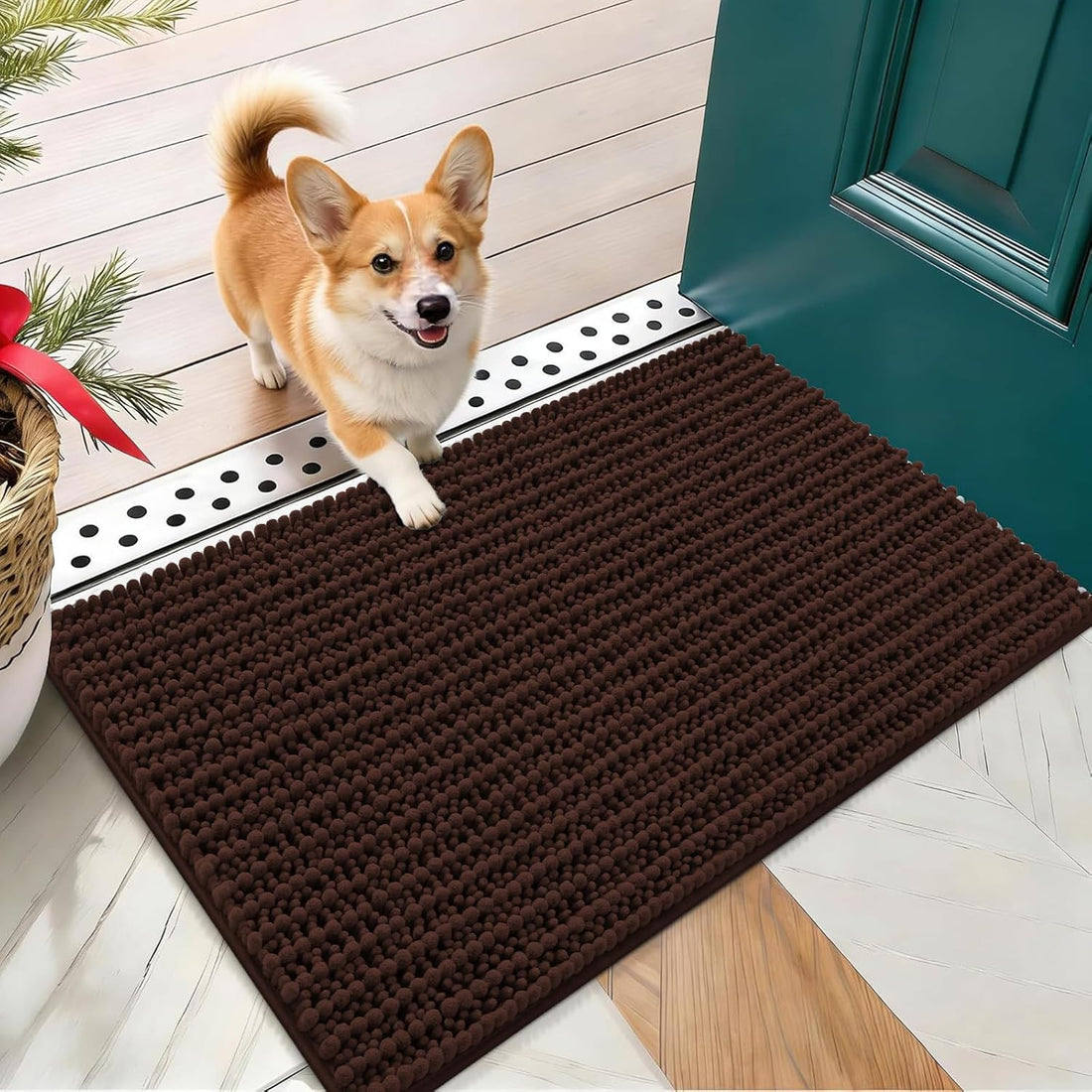 OLANLY Dog Door Mat for Muddy Paws 30x20