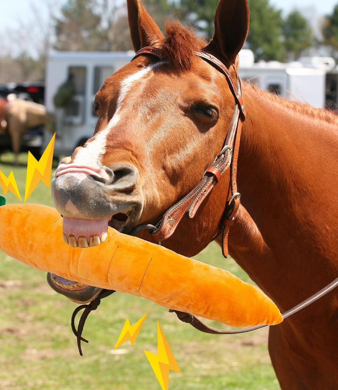 Horse Toy Plush Squeaky Carrot, Large Carrot Shaped Horse Squeaky Toy