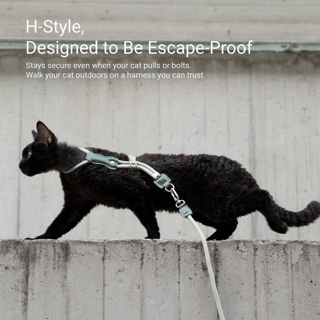 H-style Escape Proof Cat Harness and Leash Set