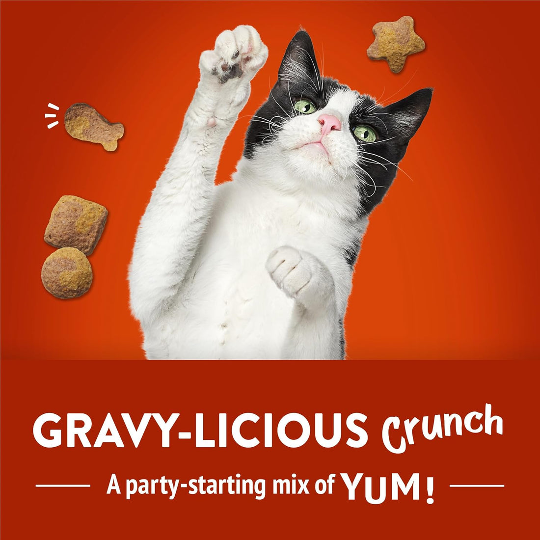 Purina Friskies Party Mix Gravy-Licious Crunch Chicken and Gravy
