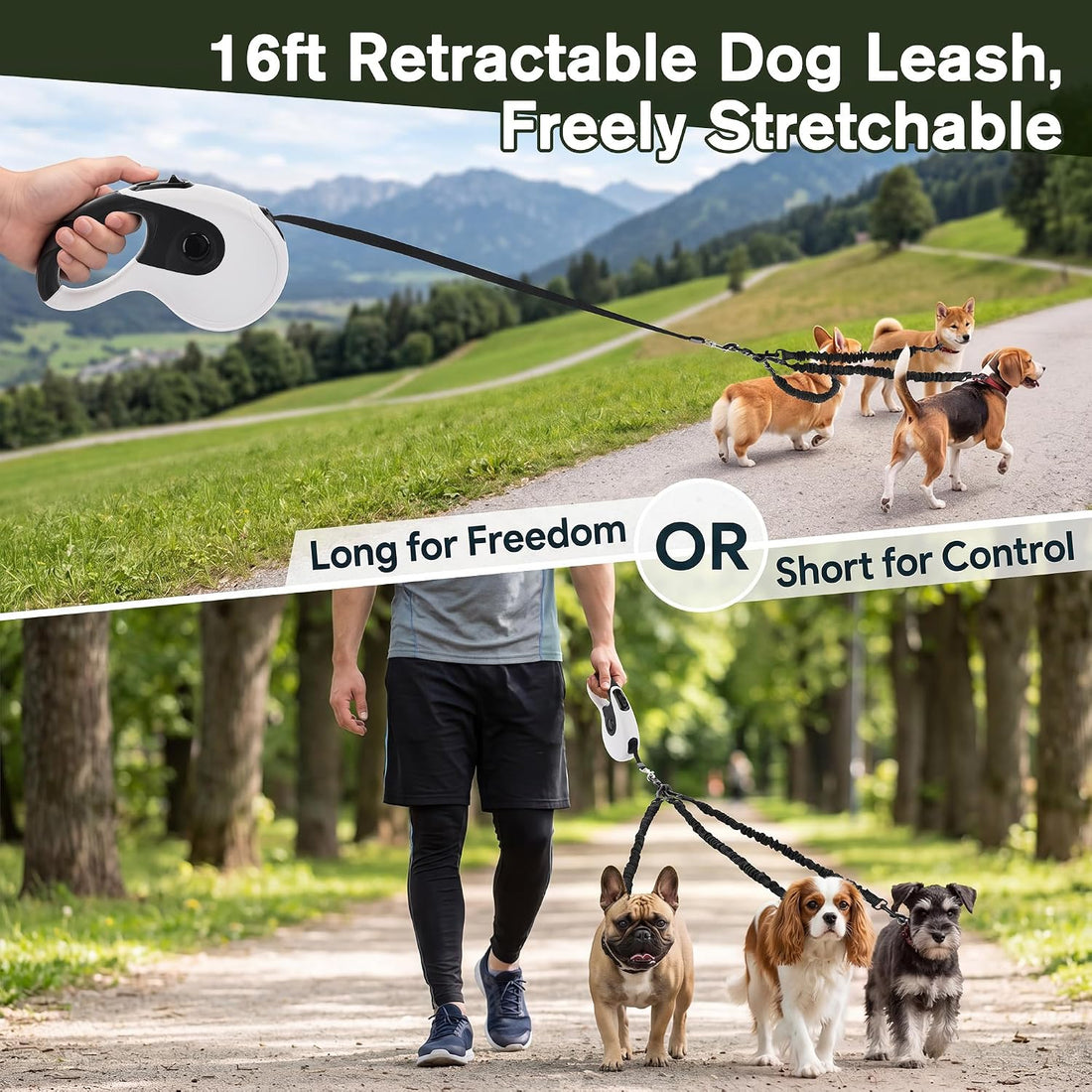 Eccliy Retractable Dog Leash