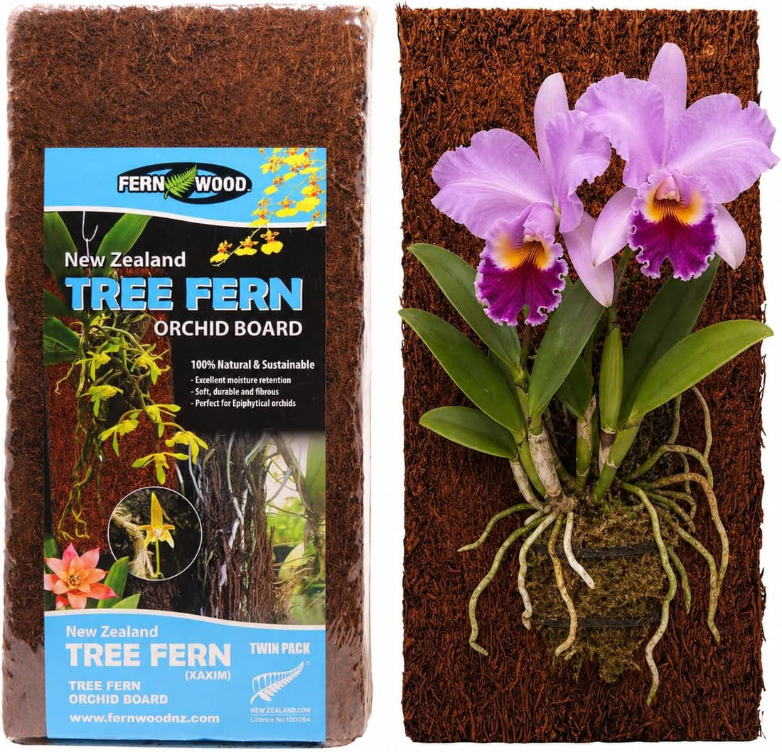 Fernwood New Zealand Tree Fern Orchid Mounting Board - 2 Pack