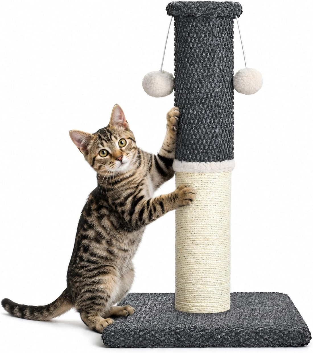 Made4Pets Cat Scratching Post with Sisal & Carpet for Indoor Cats
