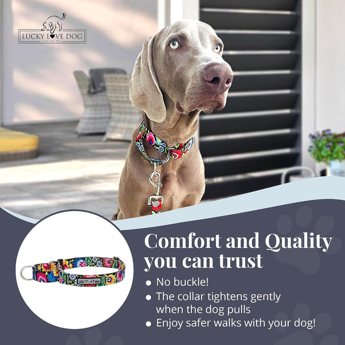Lucky Love Dog Martingale Collar for Medium Dogs Cute – Blackbird
