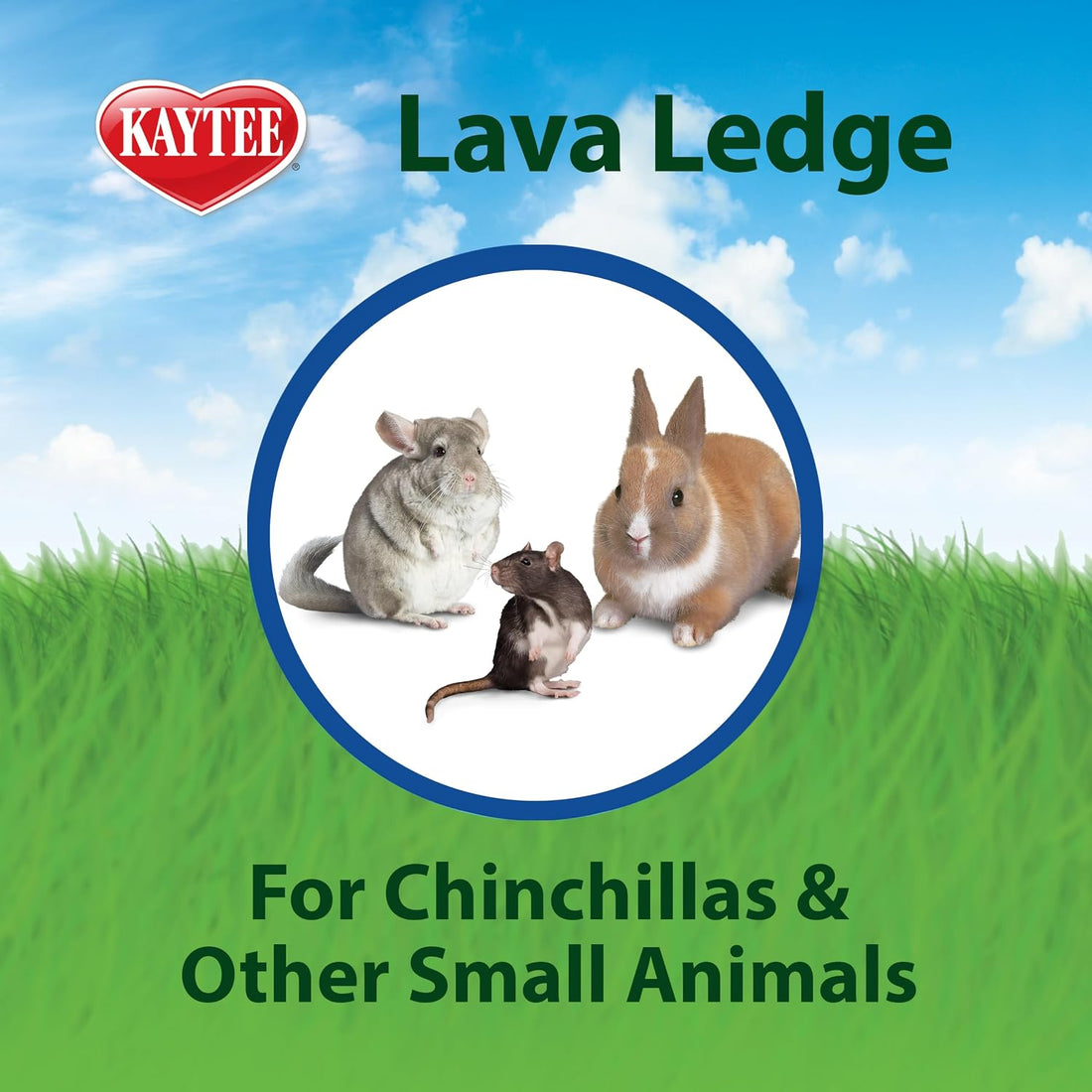 Kaytee Lava Ledge for Small Pet Wire Habitats