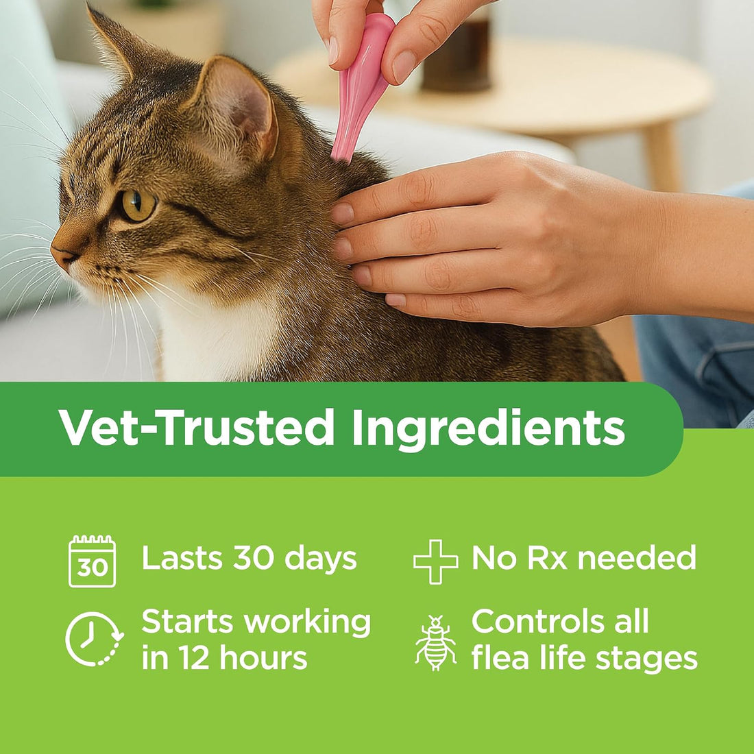 TevraPet Actispot II Flea Treatment for Large Cats 9+ lbs | 6 Doses
