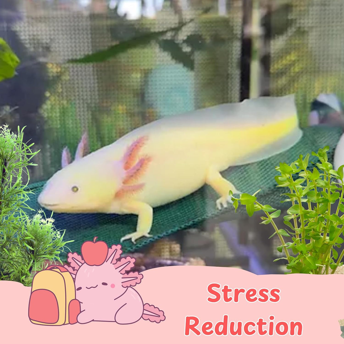 Axolotl Hammock for Aquarium and Ceramic Feeding Dish, Axolotl Hammock