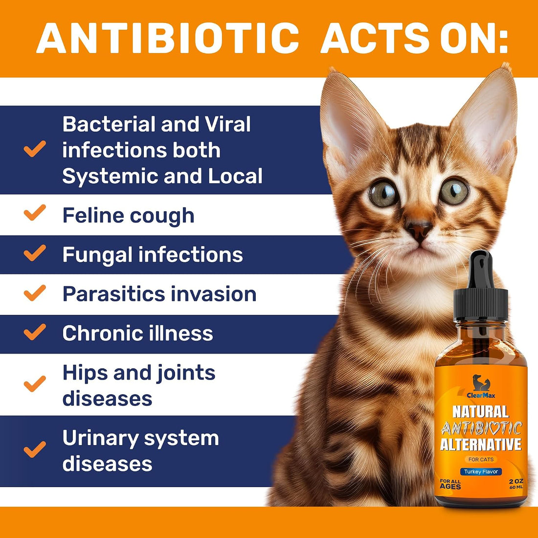 Antibiotics for Cats in Drops – Сat Respiratory Infection Treatment
