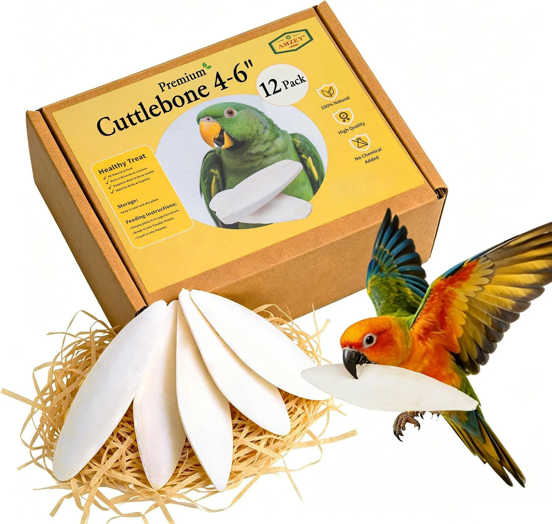 Amzey 12 Pack Cuttlebone for Birds