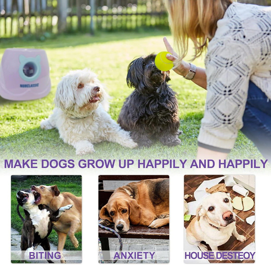BESTHLS Automatic Dog Ball Launcher Tennis Ball Thrower Machine