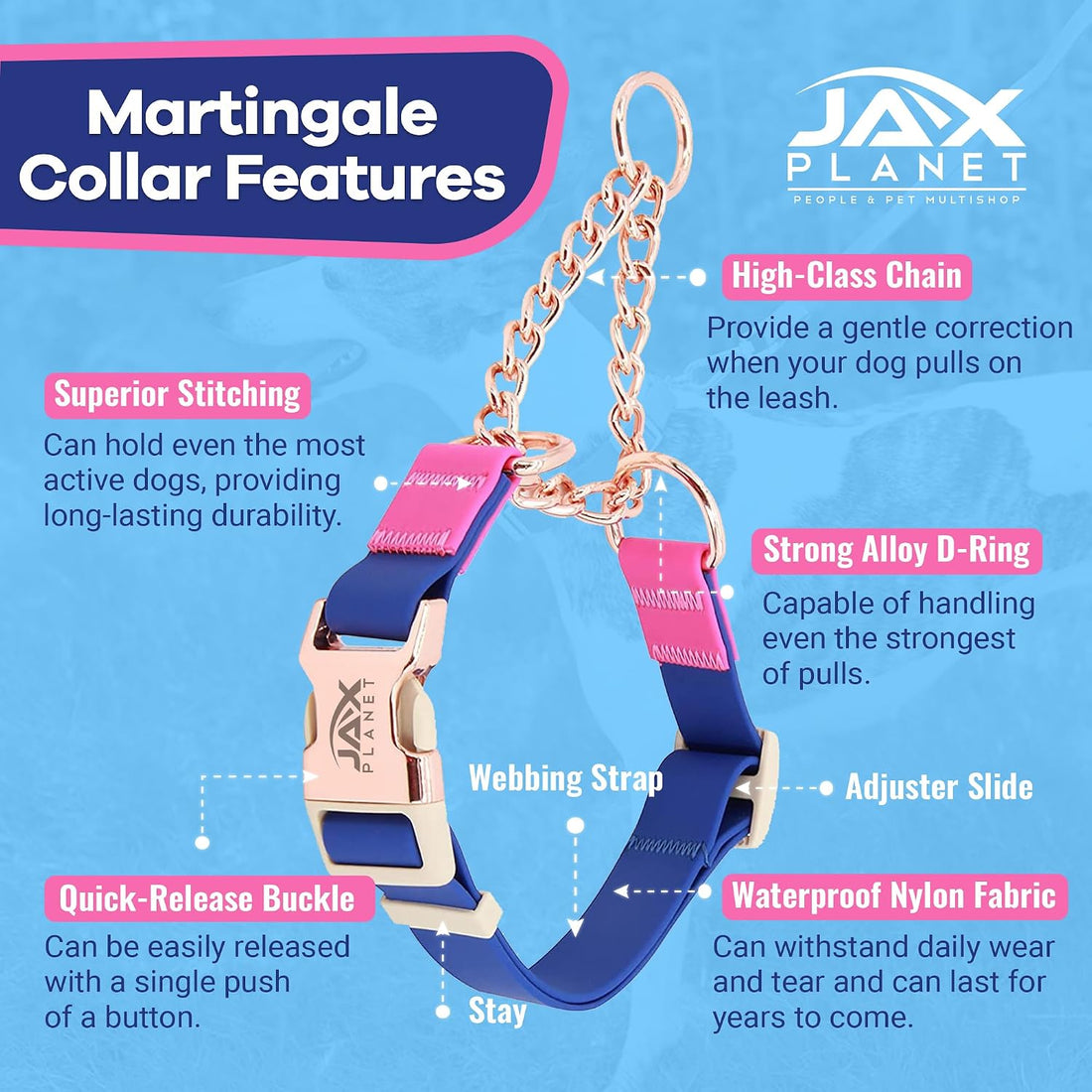 Jelly No Pull No Slip Waterproof Martingale Collar for Dogs, Blue Rose