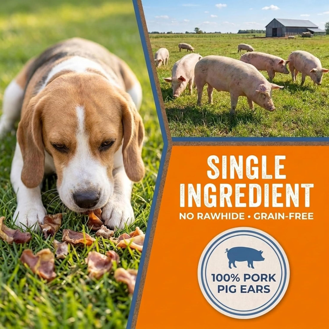 K9warehouse Bulk Pig Ear Bites for Dogs 100% Pork, Rawhide Alternative