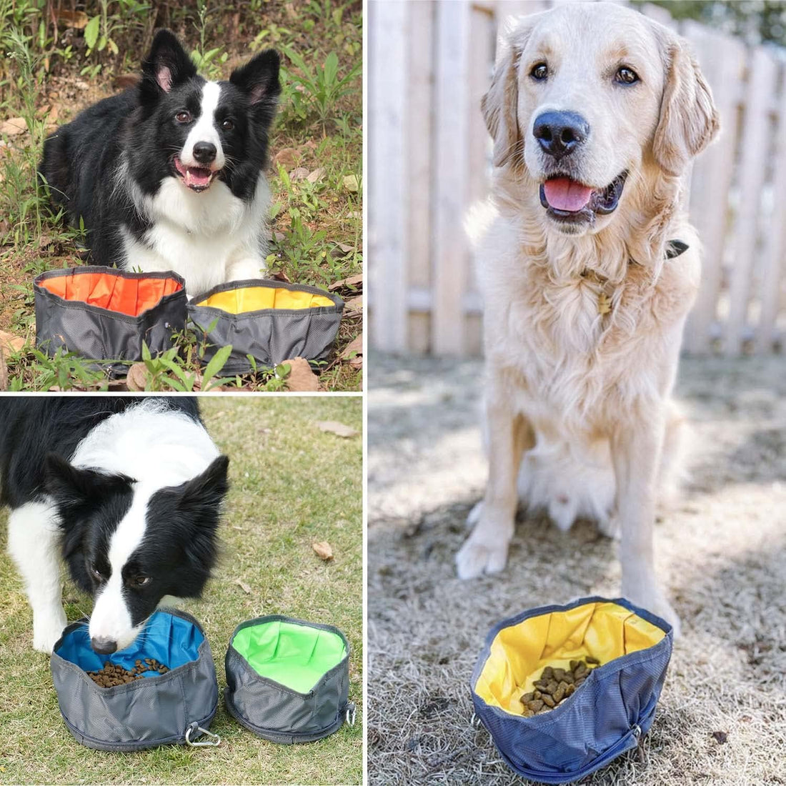 LumoLeaf Collapsible Dog Travel Bowl