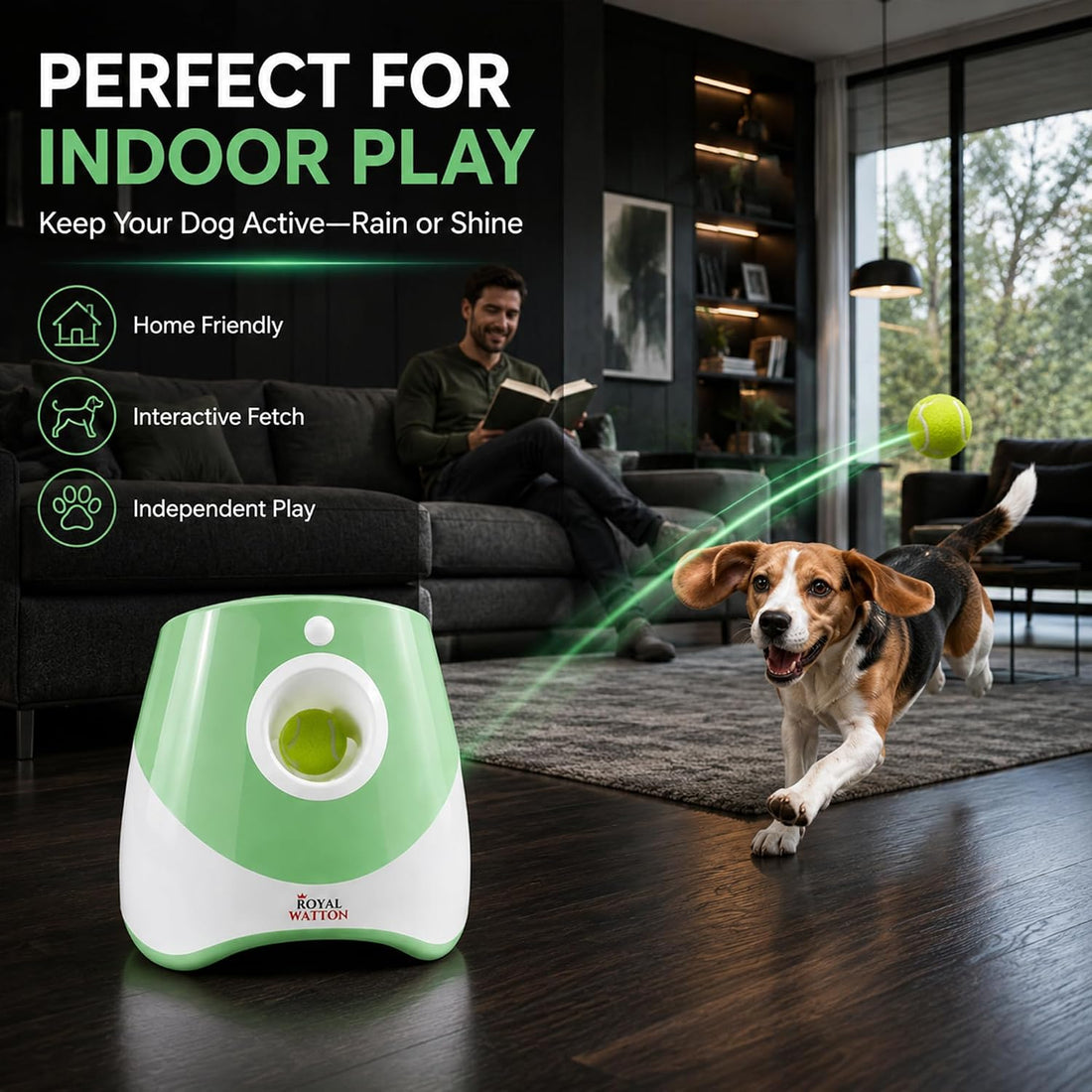 Automatic Dog Ball Launcher for Dogs with 10 Balls