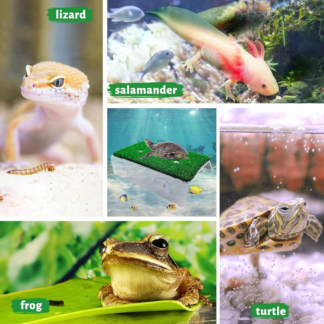 Keedolla Small Turtle Basking Platform Simulation Grass Turtle Ramp