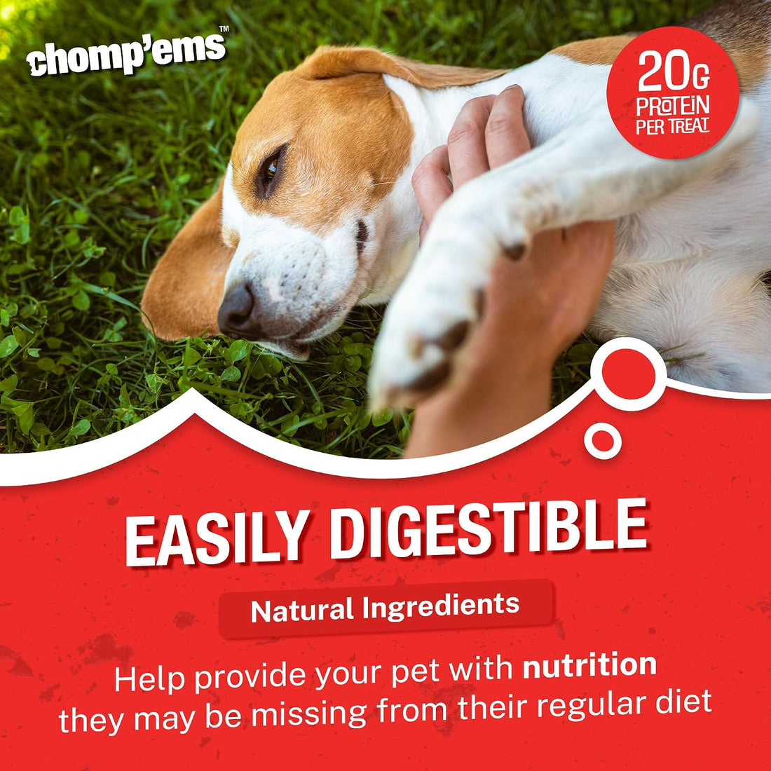 Chomp'ems Purehide Sticks Healthy Natural Rawhide Dog Chew, 12 oz
