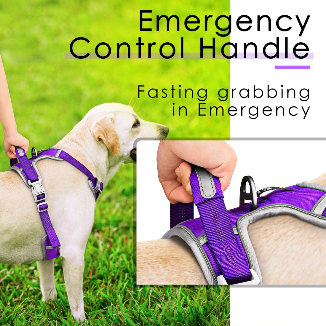 ThinkPet No Pull Harness Breathable Sport Harness with Handle-Dog