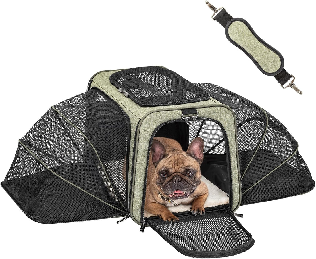 Petsfit Small Double Expandable Cat Carrier for Kittens and Air Travel