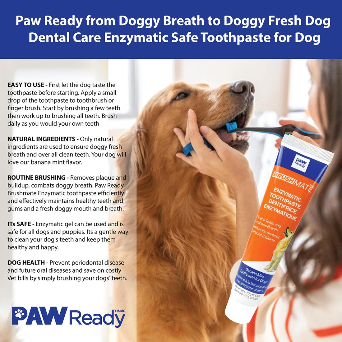 Paw Ready from Doggy Breath to Doggy Fresh Dog Dental Care Enzymatic