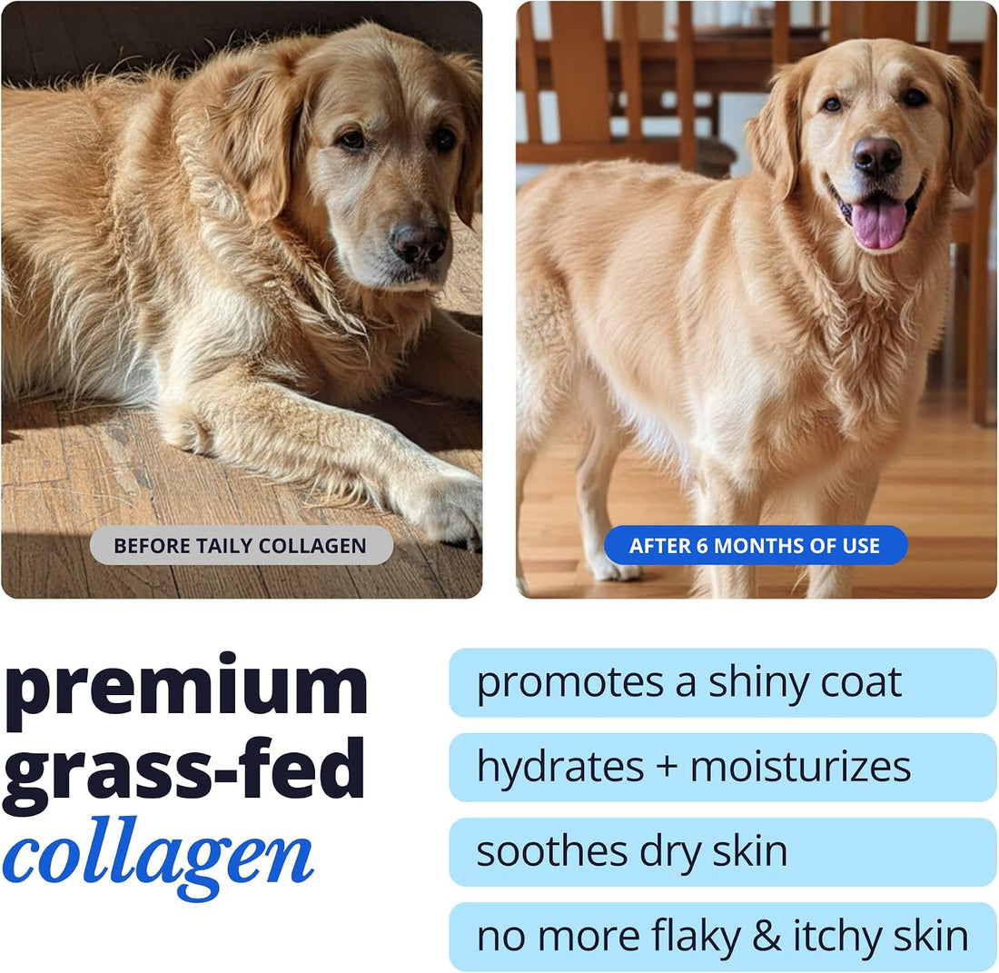 Taily Liquid Collagen for Dogs Skin and Coat Supplement, Cats