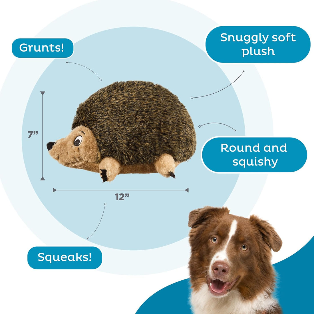 Outward Hound Hedgehogz Plush Dog Toy, Squeaks & Grunts, Large