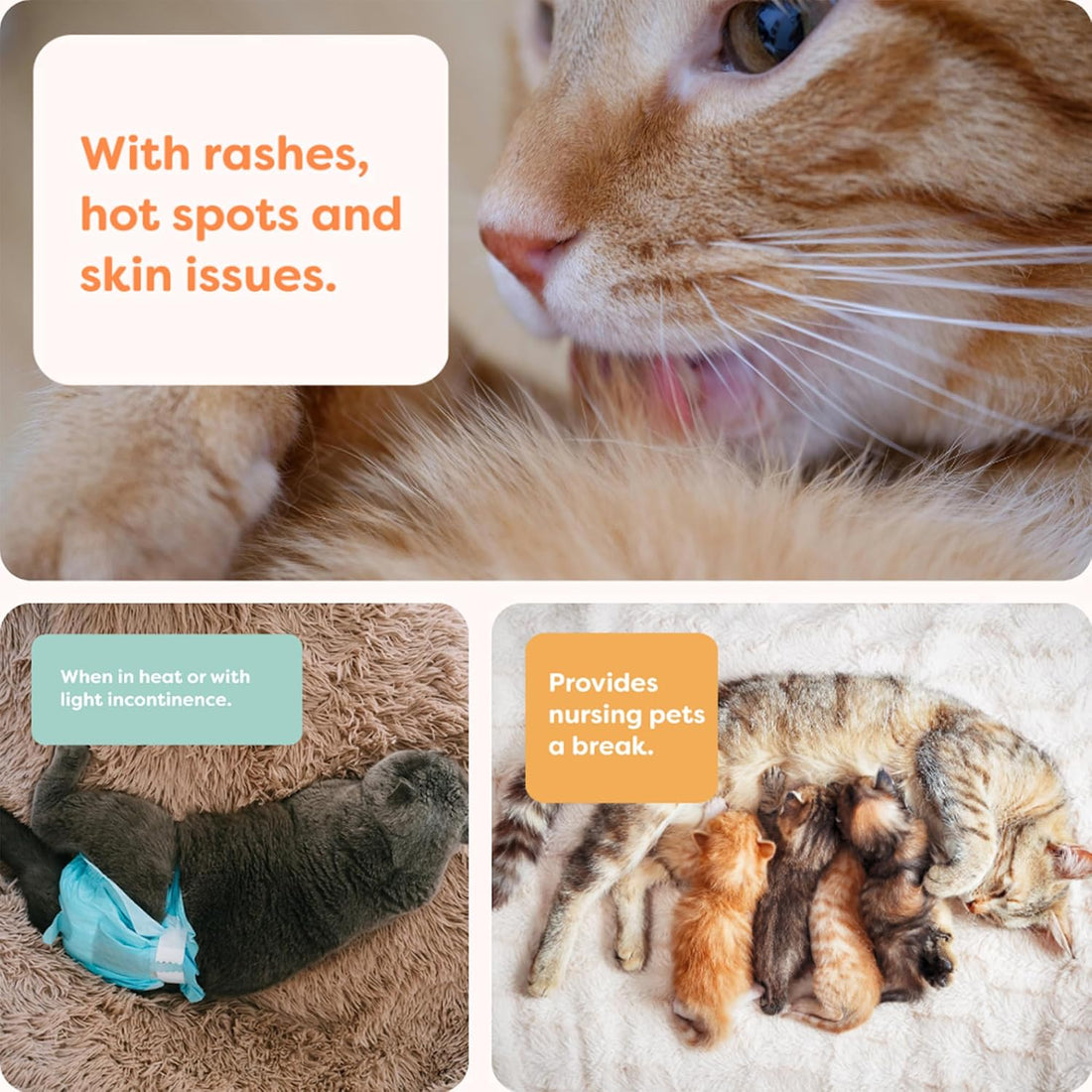 Suitical Recovery Suit for Cats